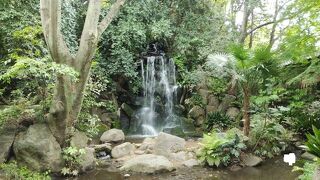 都会にいながら自然の渓谷のような雰囲気がある