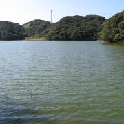 種子島で一番大きな淡水池
