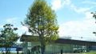 象の顔のデコレーションソフトクリーム