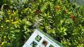 手入れの行き届いた季節の花々