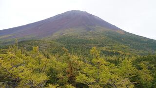 富士山はやっぱり高い山だなあと実感