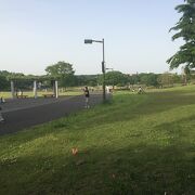 調布飛行場に面した気持ちの良い公園