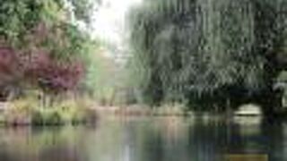 エイボン川クルーズ