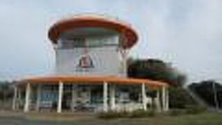 伊方原発のそば