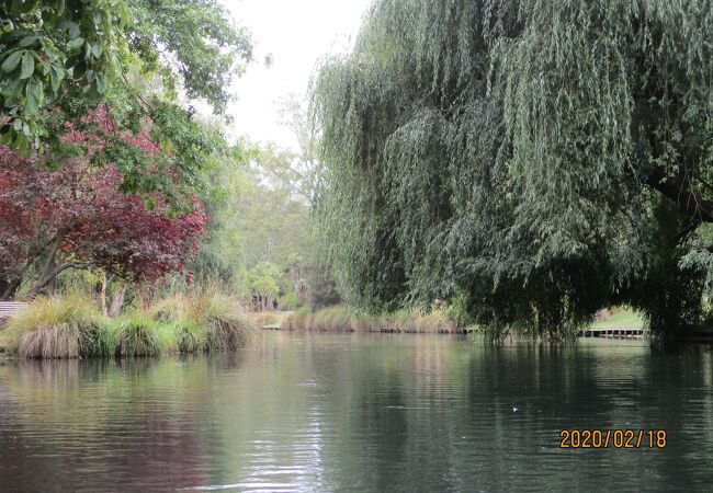 エイボン川クルーズ