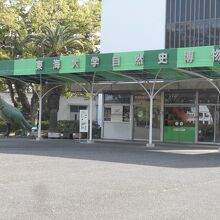 いろいろな恐竜の模型が近くで見れます。