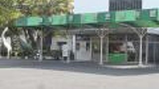 三保の松原の近くにある恐竜メインの博物館