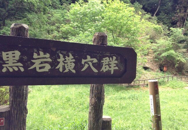 楽天ブックス: 吉見の百穴 - 北武蔵の横穴墓と古代氏族 - 金井塚