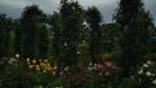 絶好のフォトスポット