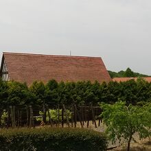 ブドウ畑と建物の裏側からの風景