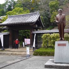 まっすぐ立ってます。