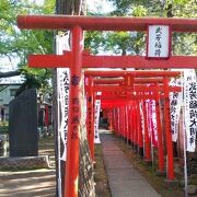 たくさんの赤い鳥居が特徴的な神社