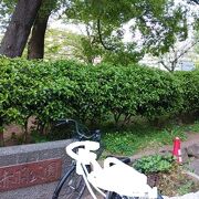 地元の人たちでにぎわう公園