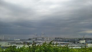 港が見えるが丘公園から