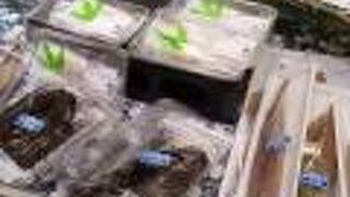 食品スーパーです