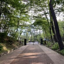 外国人墓地です。