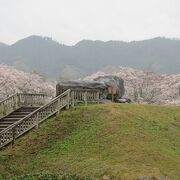 巨石と桜が絶景