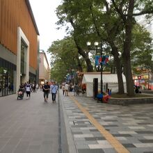 ラグビーワールドカップの幟