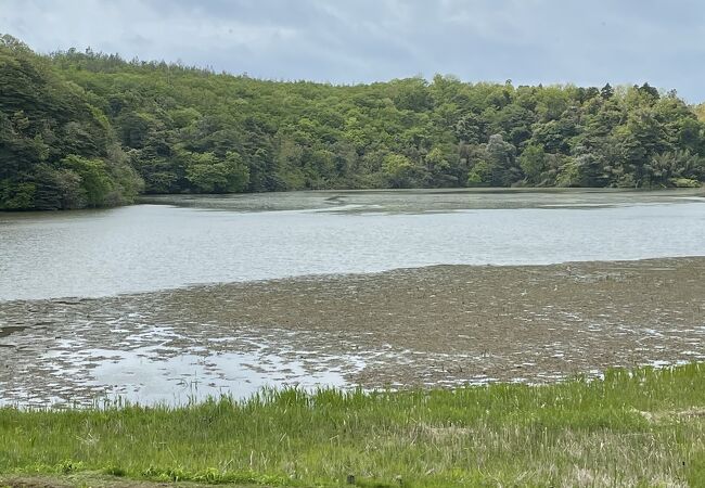 鴨を観察する施設