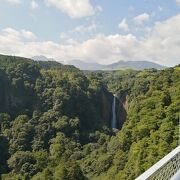 九重大吊橋から見れます