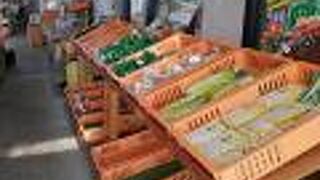 ヨーグルトを頂きました