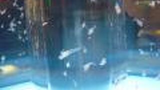 流氷の元となる氷晶の発生装置やプロジェクションマッピングなどで流氷の不思議をわかりやすく紹介しています。