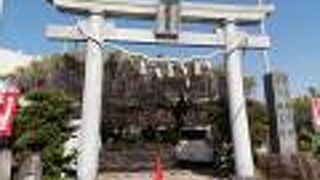 東海道随一と言われる長藤の名所