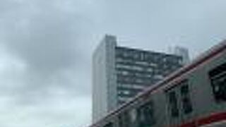 ビックリ！　突然出てきた！