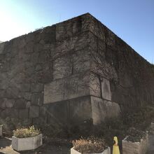 一部でも大きい！