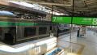 のどかで自然が楽しめる路線のようです