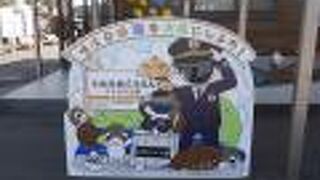 カメ好きの方に。