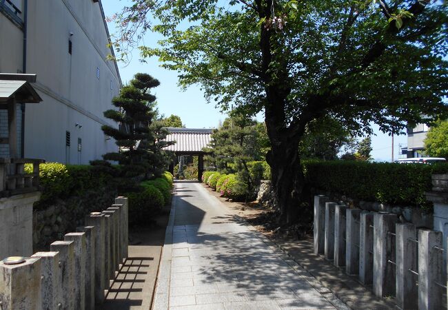 浄土宗西山禅林寺派の寺院