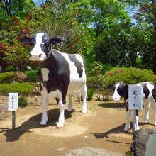 善子さんと光子さん