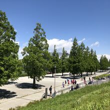 公園の土手から、球技場のサッカーを観戦できる