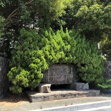 横浜ゴムの敷地に隣接