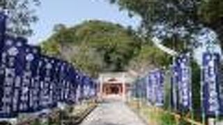 ちょっとマイナーなかんじがいい。