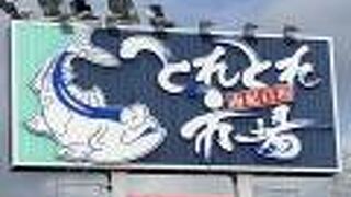 カタタの釣り堀 クチコミ アクセス 営業時間 南紀白浜 フォートラベル カタタの釣り堀 クチコミ アクセス 営業時間 南紀白浜 フォートラベル