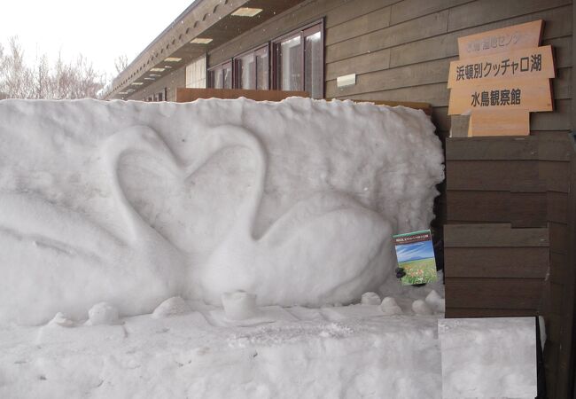 日本最大のコハクチョウ飛来地の観察館