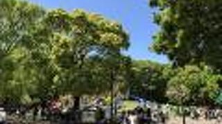 本格的なスポーツ施設から、子供の遊び場まで