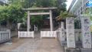 烏山緑道沿いです