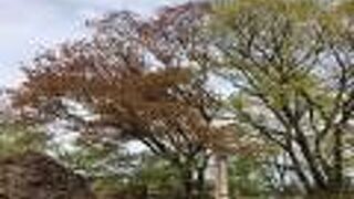 初心者向けハイキング&温泉コースです。