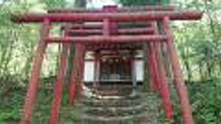 出口池の向こう側に