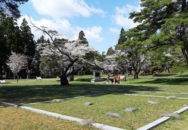 四稜郭の洋式要塞跡は桜の名所