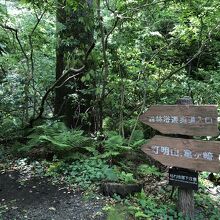 琴ケ浜海岸側の遊歩道入口