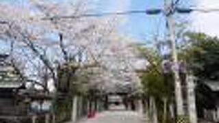 散りかけでしたが…