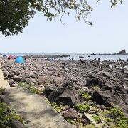 真鶴岬の海岸散歩を楽しめる