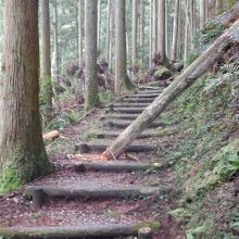 倒木だけでなく岩石も遍路道を塞いでいる所もありました。