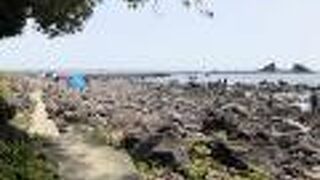 真鶴岬の海岸散歩を楽しめる