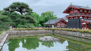 亀がすんごいの