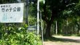 「竹」をテーマにした公園は、全国でも珍しく、竹好きの人はぜひ訪問すべし。